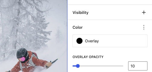 The Visibility panel with no default controls.